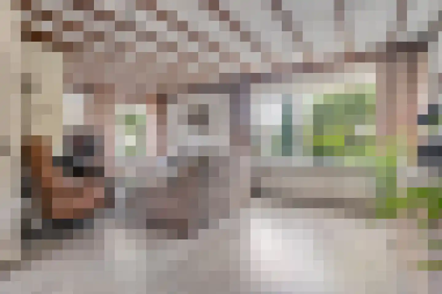 de Marsjes 4 Hellendoorn thumbnail 7