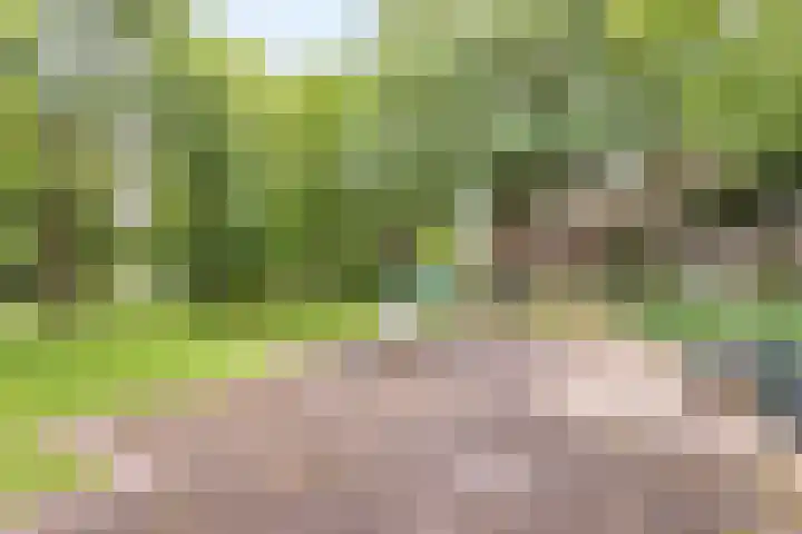 de Marsjes 72 Hellendoorn thumbnail 16