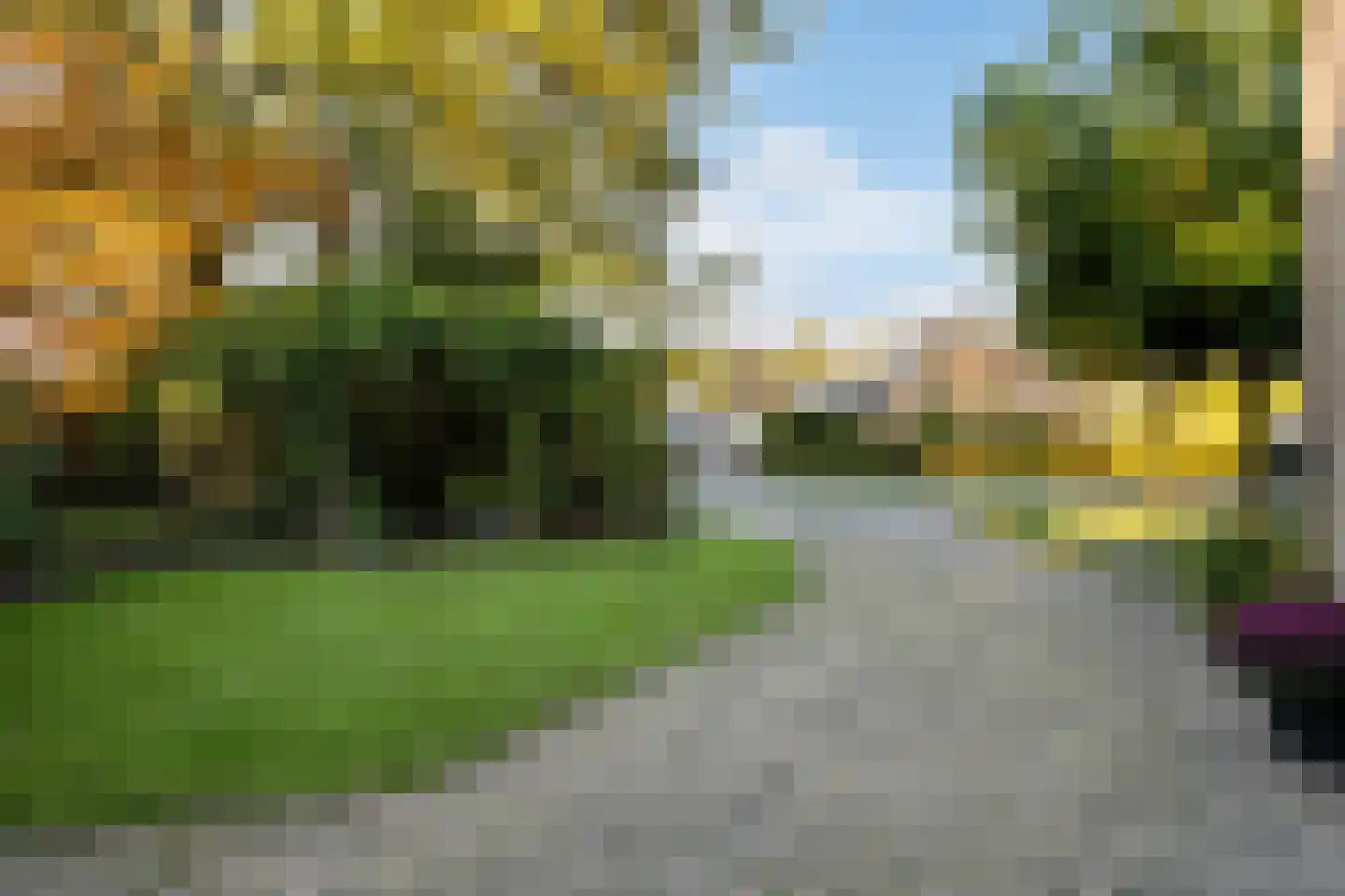 De Marsschen 19 Appelscha thumbnail 10