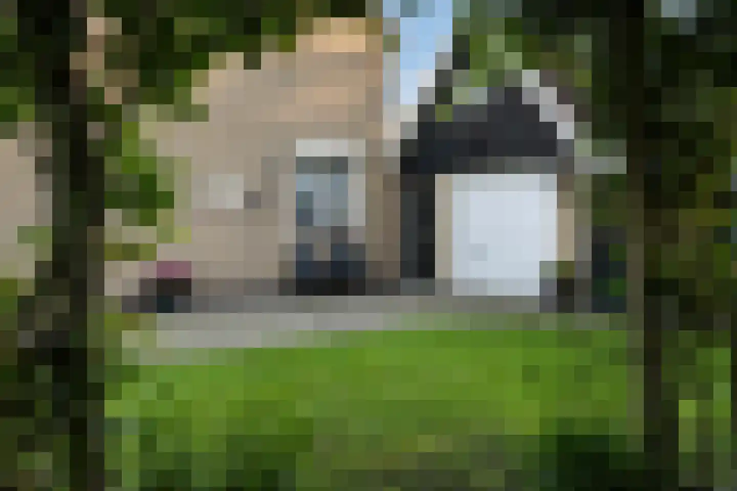 De Marsschen 19 Appelscha thumbnail 11