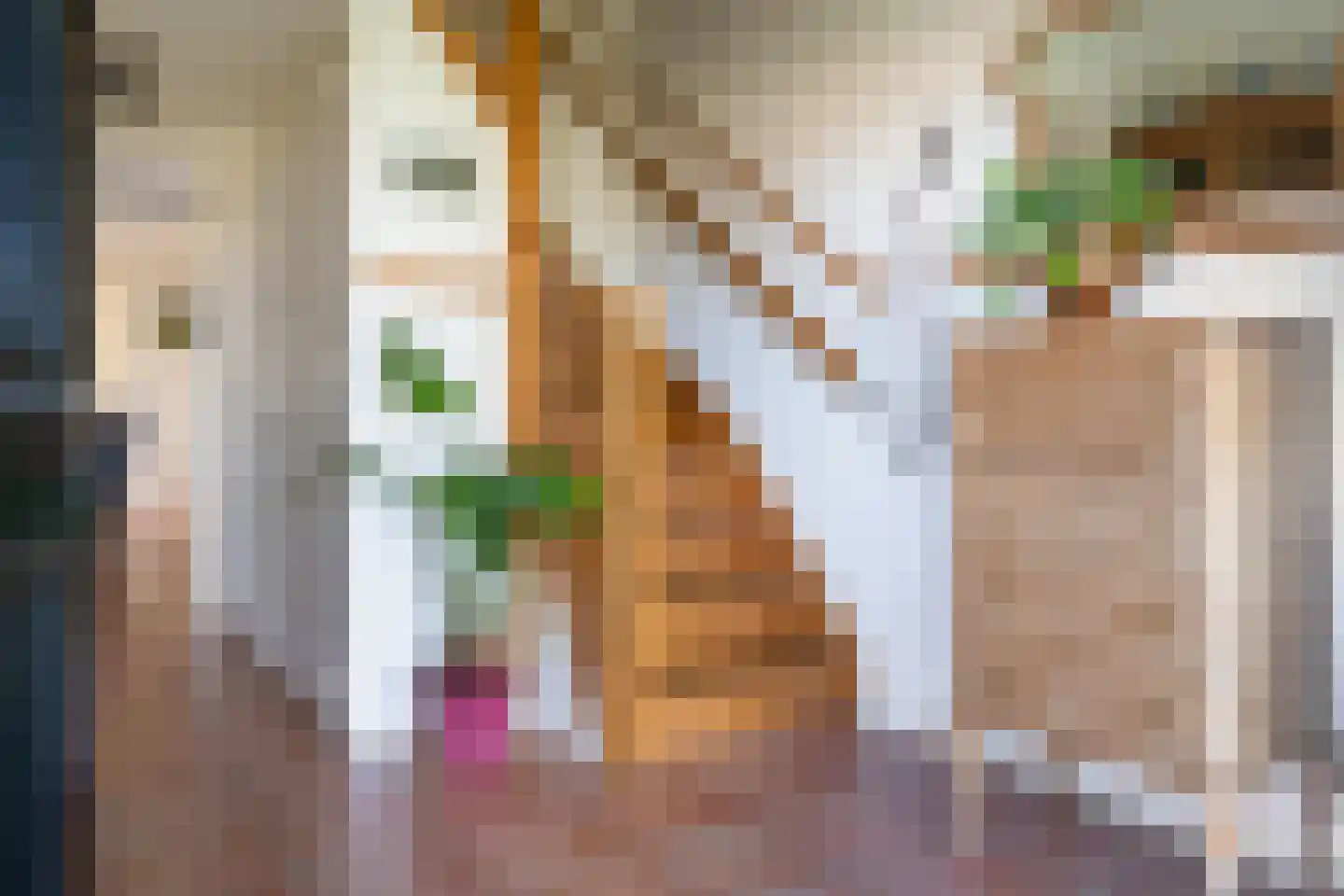 De Marsschen 19 Appelscha thumbnail 13