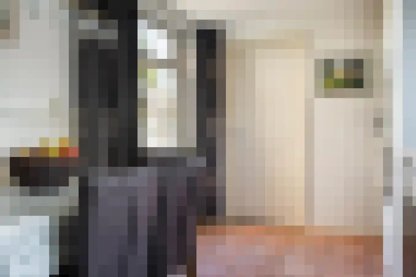De Marsschen 19 Appelscha thumbnail 23