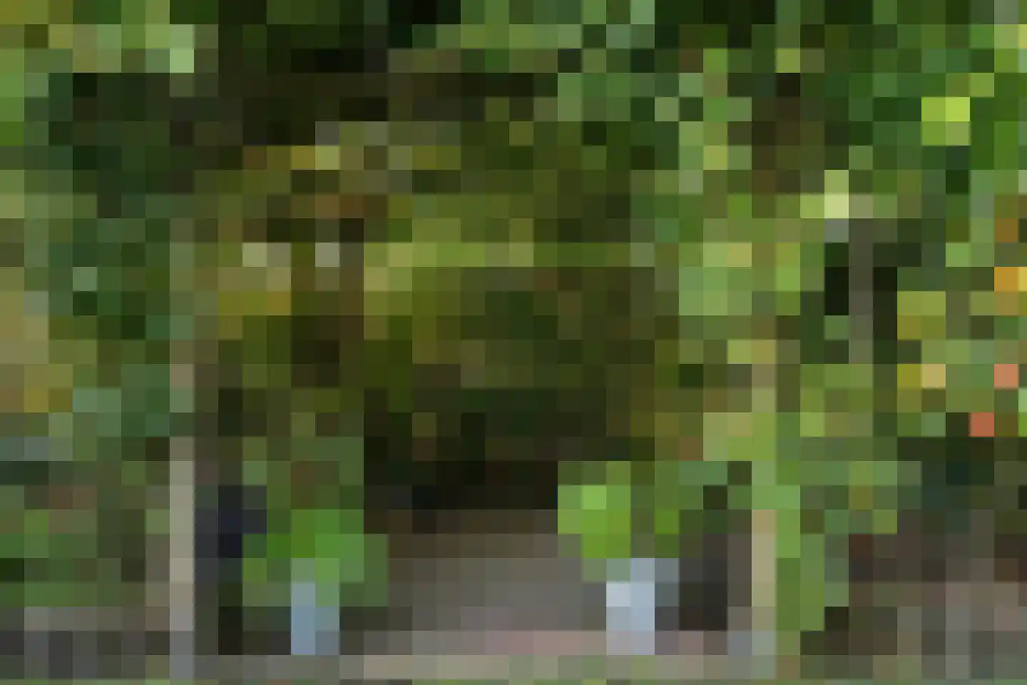 De Marsschen 19 Appelscha thumbnail 4