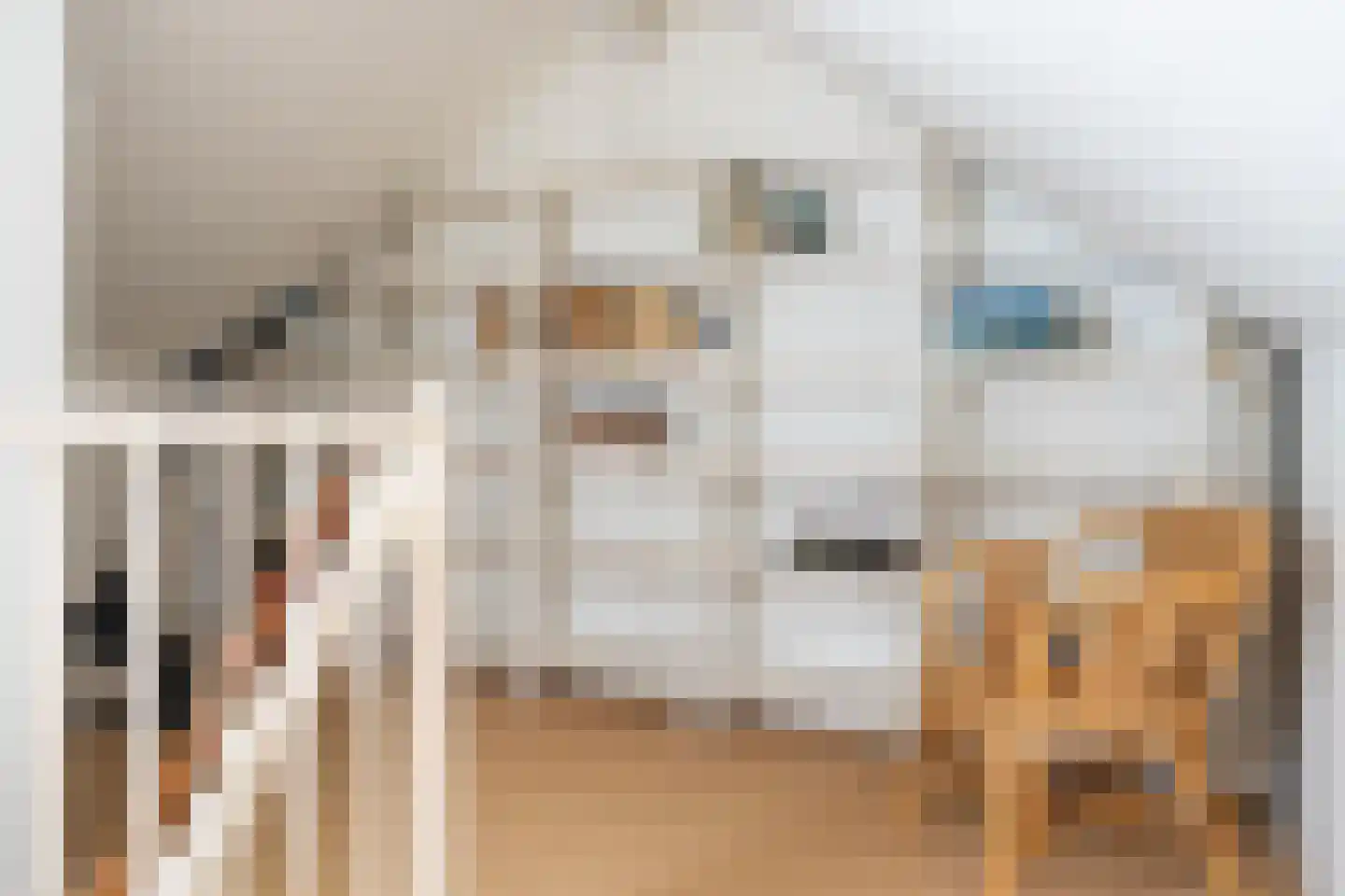 De Marsschen 19 Appelscha thumbnail 40