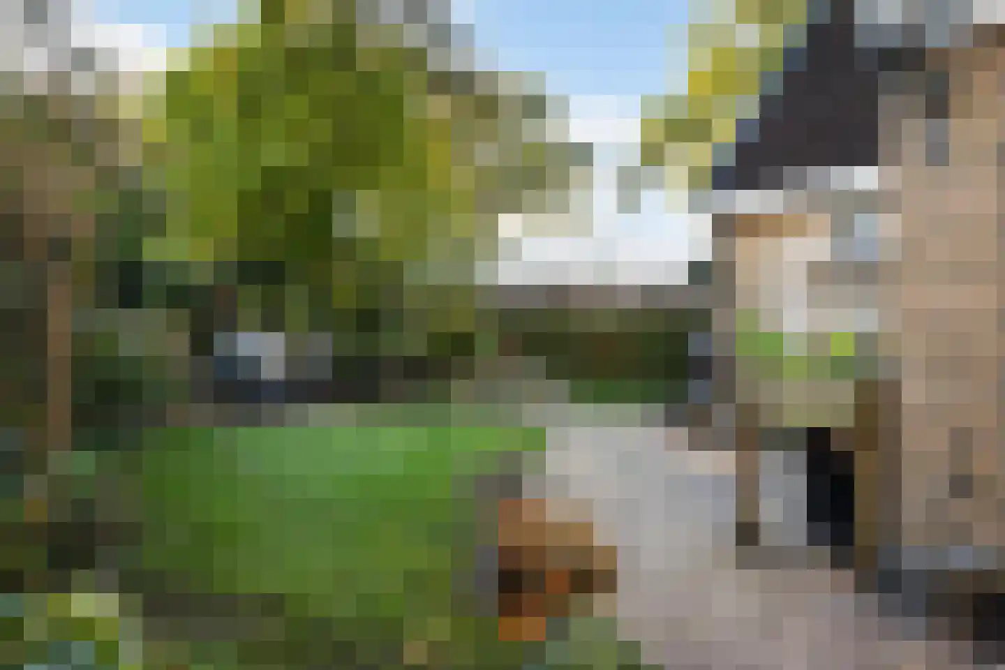 De Marsschen 19 Appelscha thumbnail 45