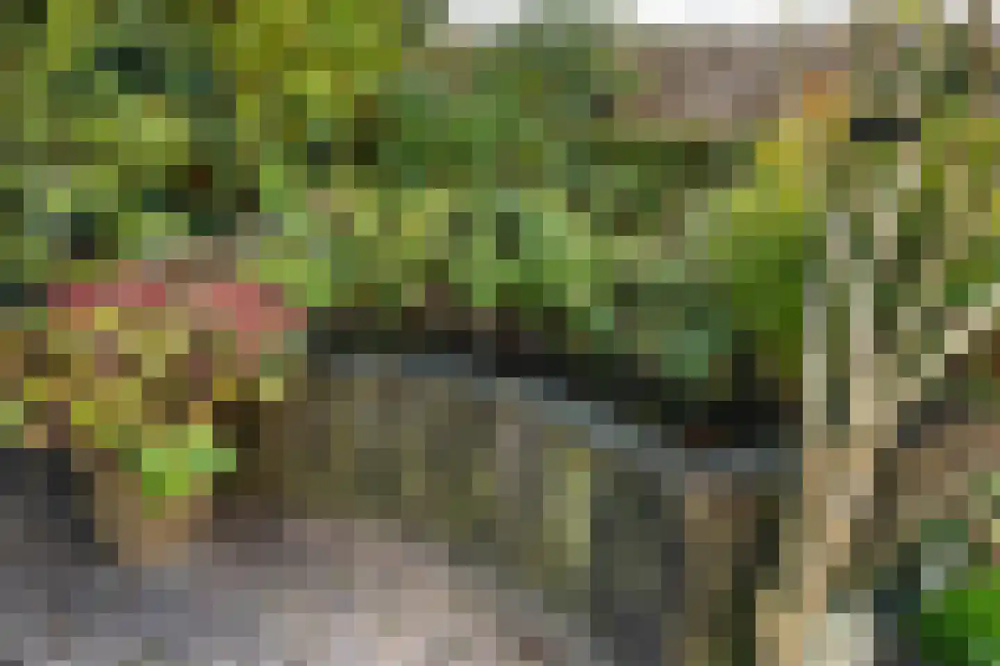 De Marsschen 19 Appelscha thumbnail 48