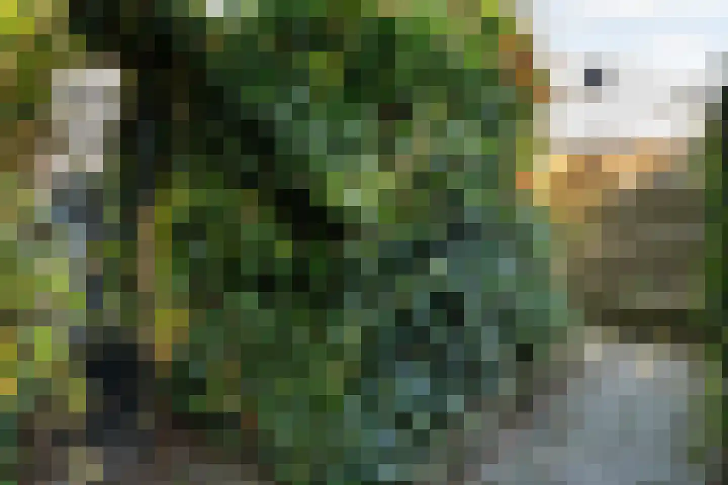 De Marsschen 19 Appelscha thumbnail 49
