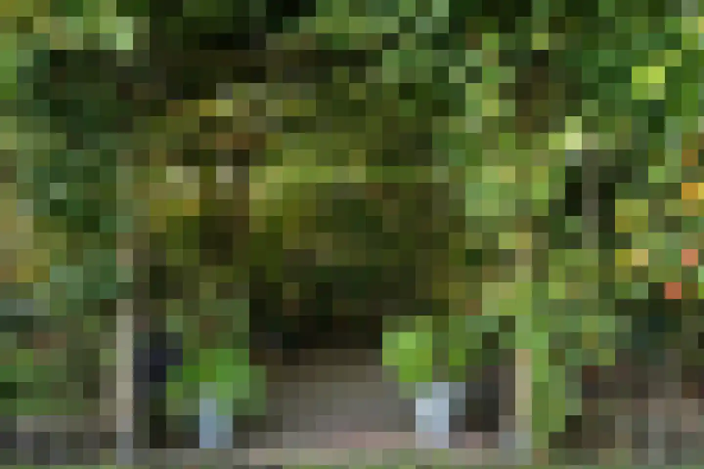 De Marsschen 19 Appelscha thumbnail 9