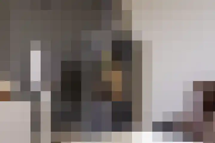 de Mate 25 Hattem thumbnail 10