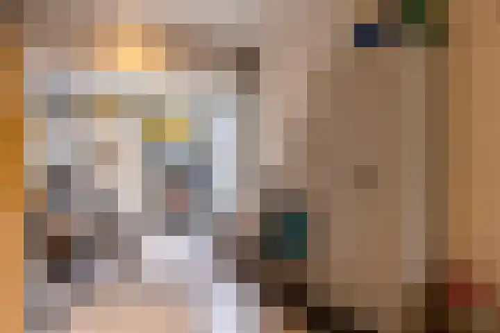 de Mate 25 Hattem thumbnail 15