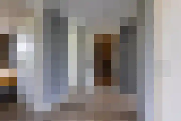 de Mate 25 Hattem thumbnail 17
