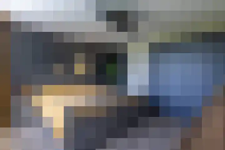 de Mate 25 Hattem thumbnail 18