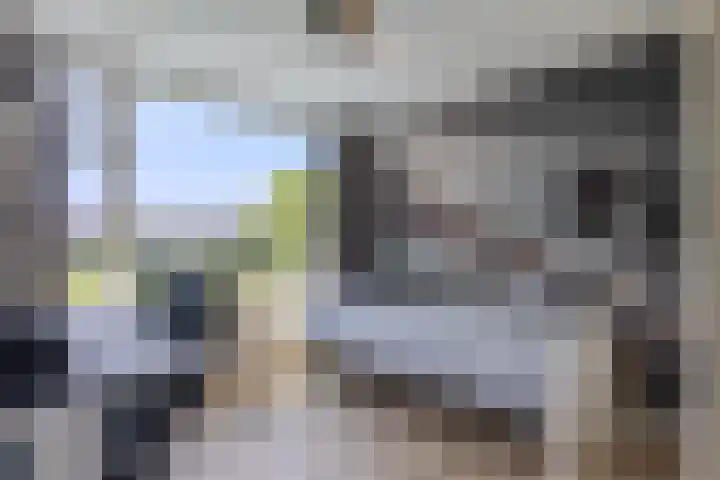 de Mate 25 Hattem thumbnail 22
