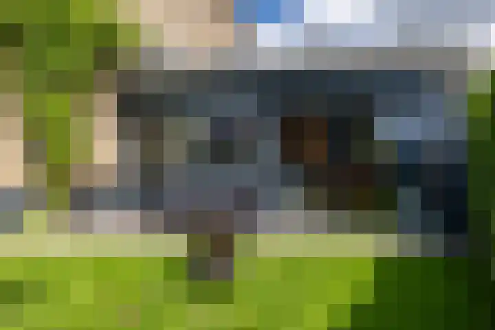 de Mate 25 Hattem thumbnail 28