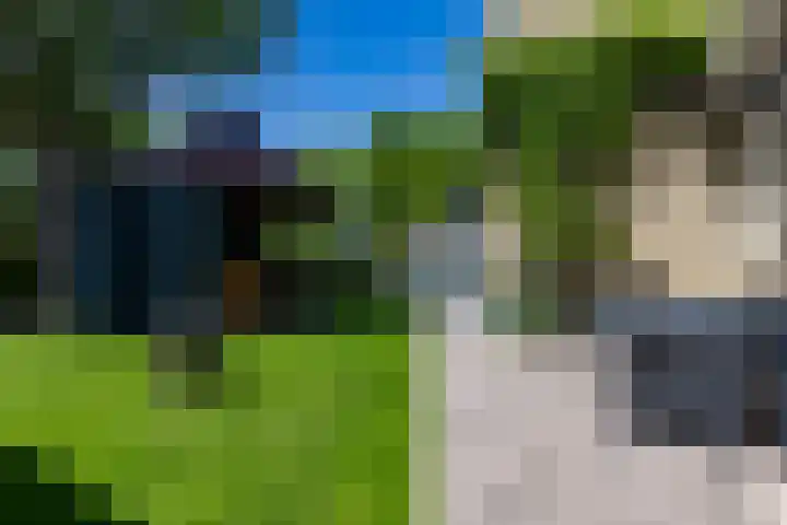 de Mate 25 Hattem thumbnail 29