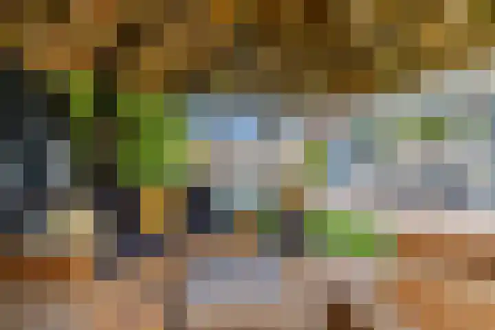 de Mate 25 Hattem thumbnail 31