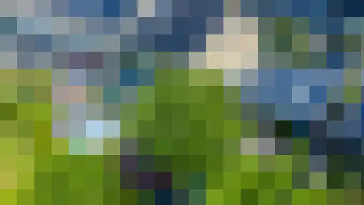 de Mate 25 Hattem thumbnail 37
