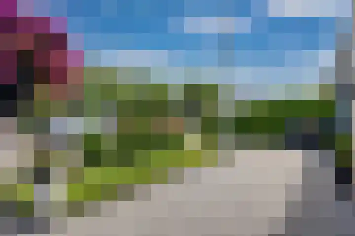 de Mate 25 Hattem thumbnail 40