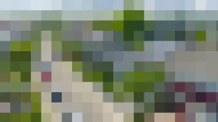 de Mate 25 Hattem thumbnail 41