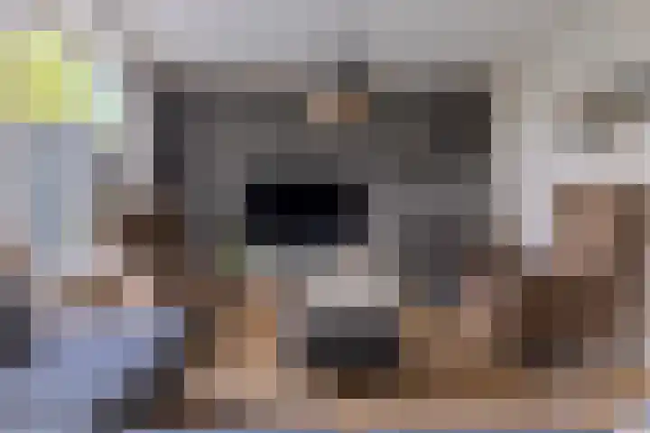 de Mate 25 Hattem thumbnail 8