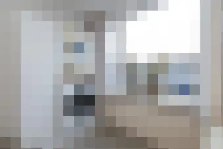 de Mate 4 Hattem thumbnail 16
