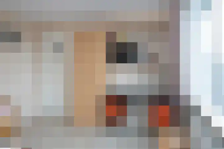 de Mate 4 Hattem thumbnail 23