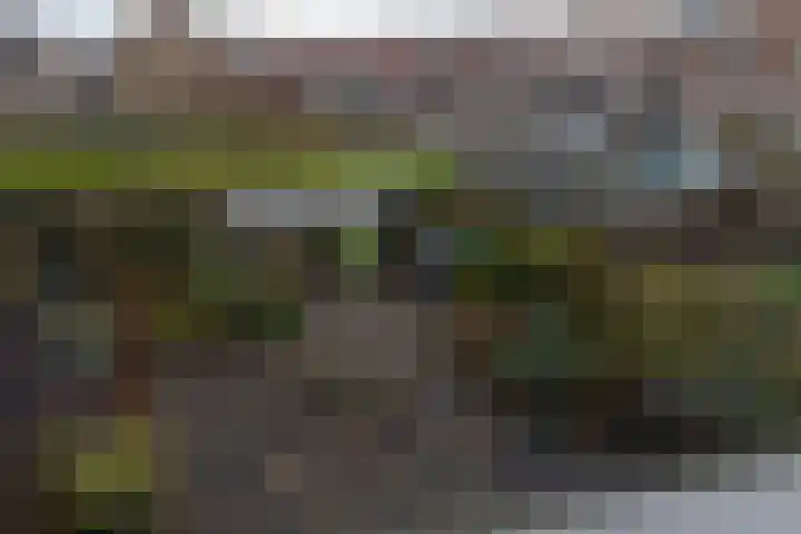 de Mate 4 Hattem thumbnail 25