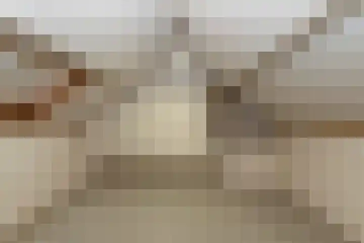 de Mate 4 Hattem thumbnail 29