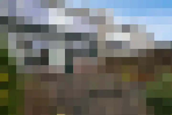 de Mate 4 Hattem thumbnail 31