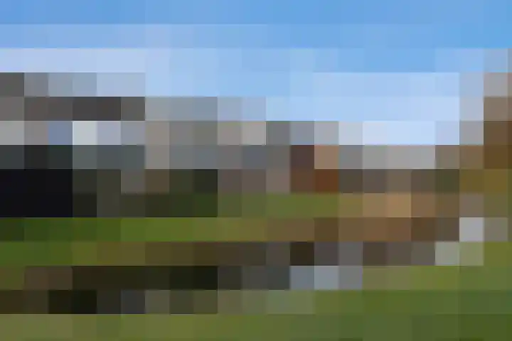 de Mate 4 Hattem thumbnail 35