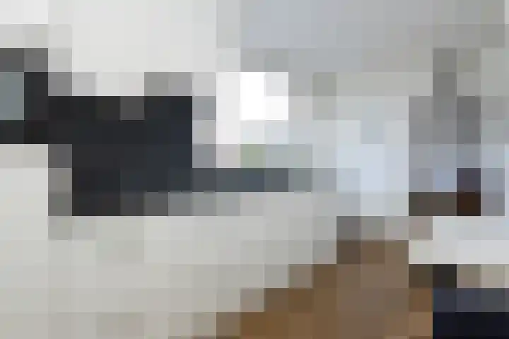 de Mate 4 Hattem thumbnail 9