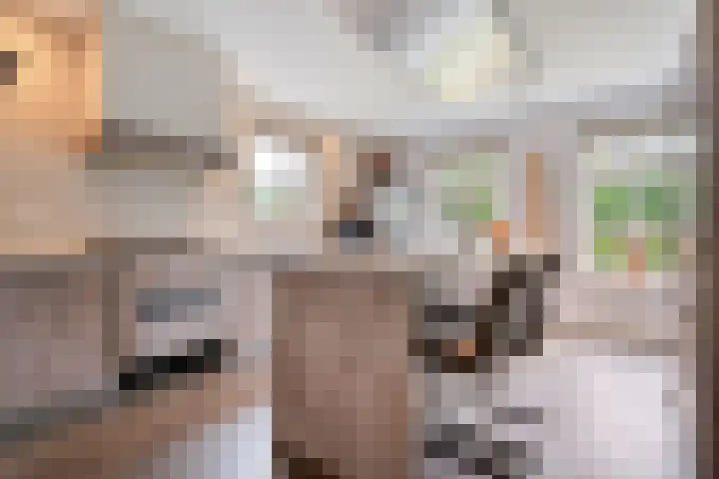 De Maten 10 Gramsbergen thumbnail 10