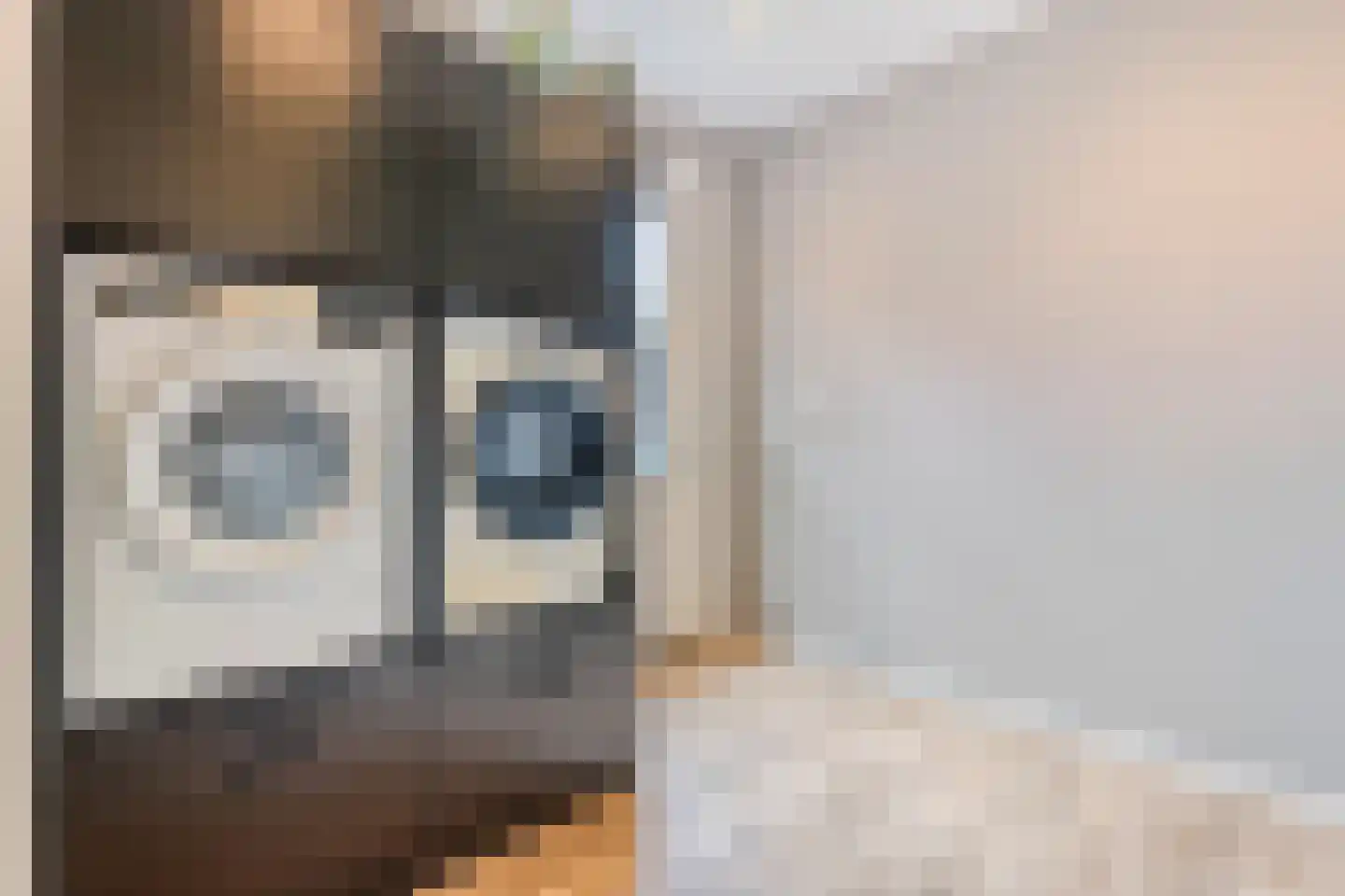 De Maten 10 Gramsbergen thumbnail 17