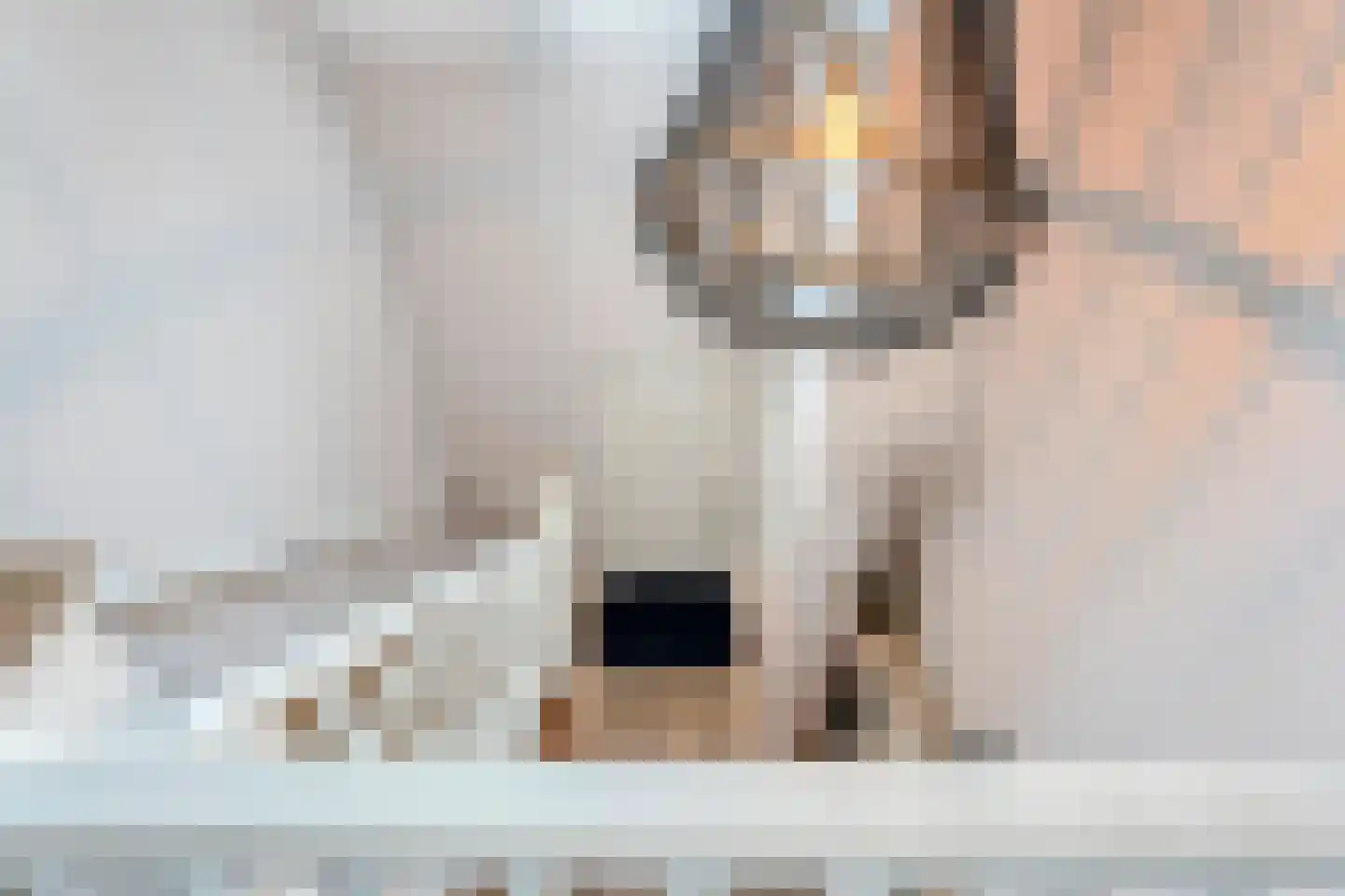 De Maten 10 Gramsbergen thumbnail 25