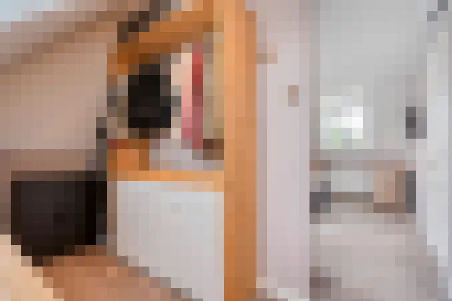 De Maten 10 Gramsbergen thumbnail 32