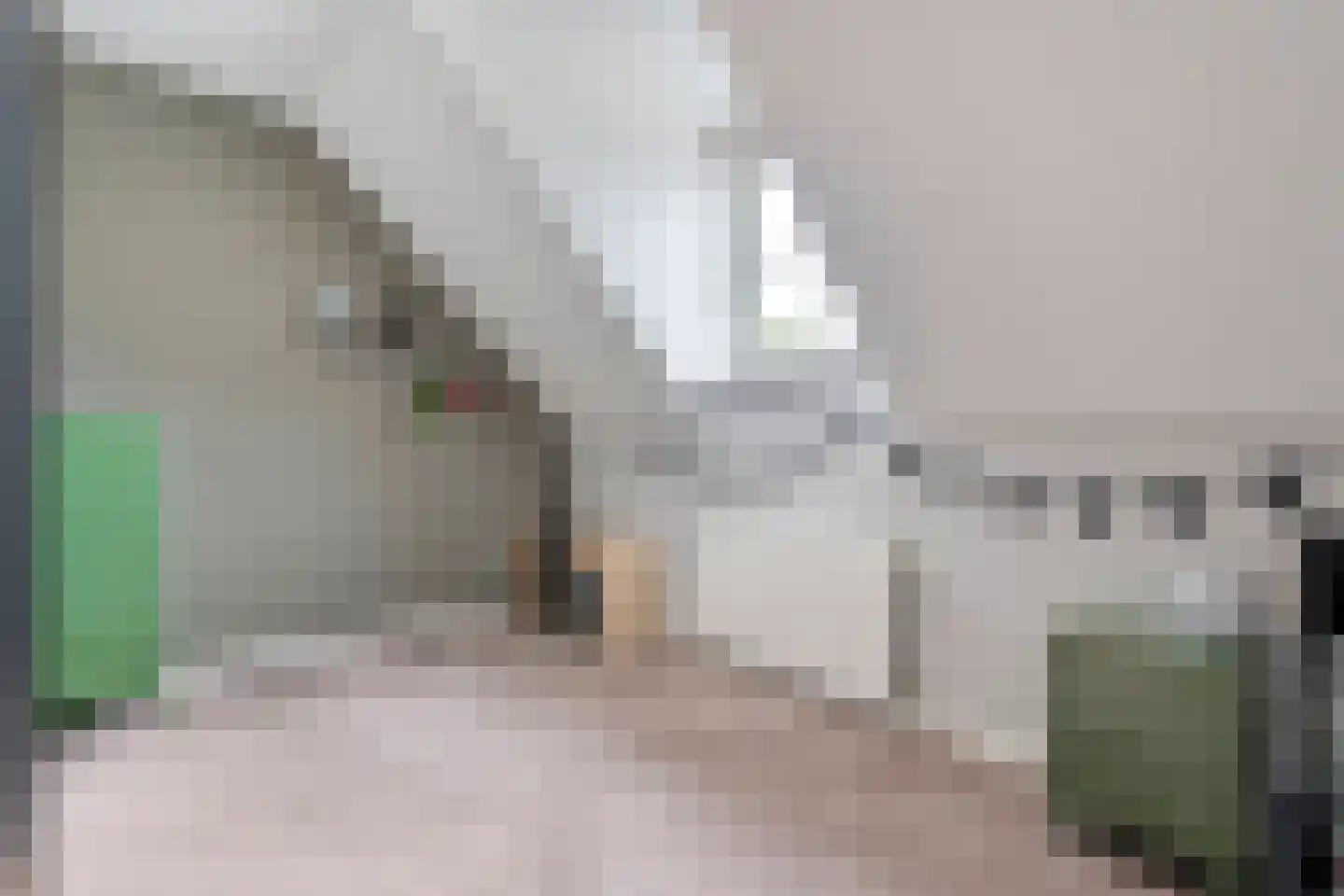 De Maten 10 Gramsbergen thumbnail 35