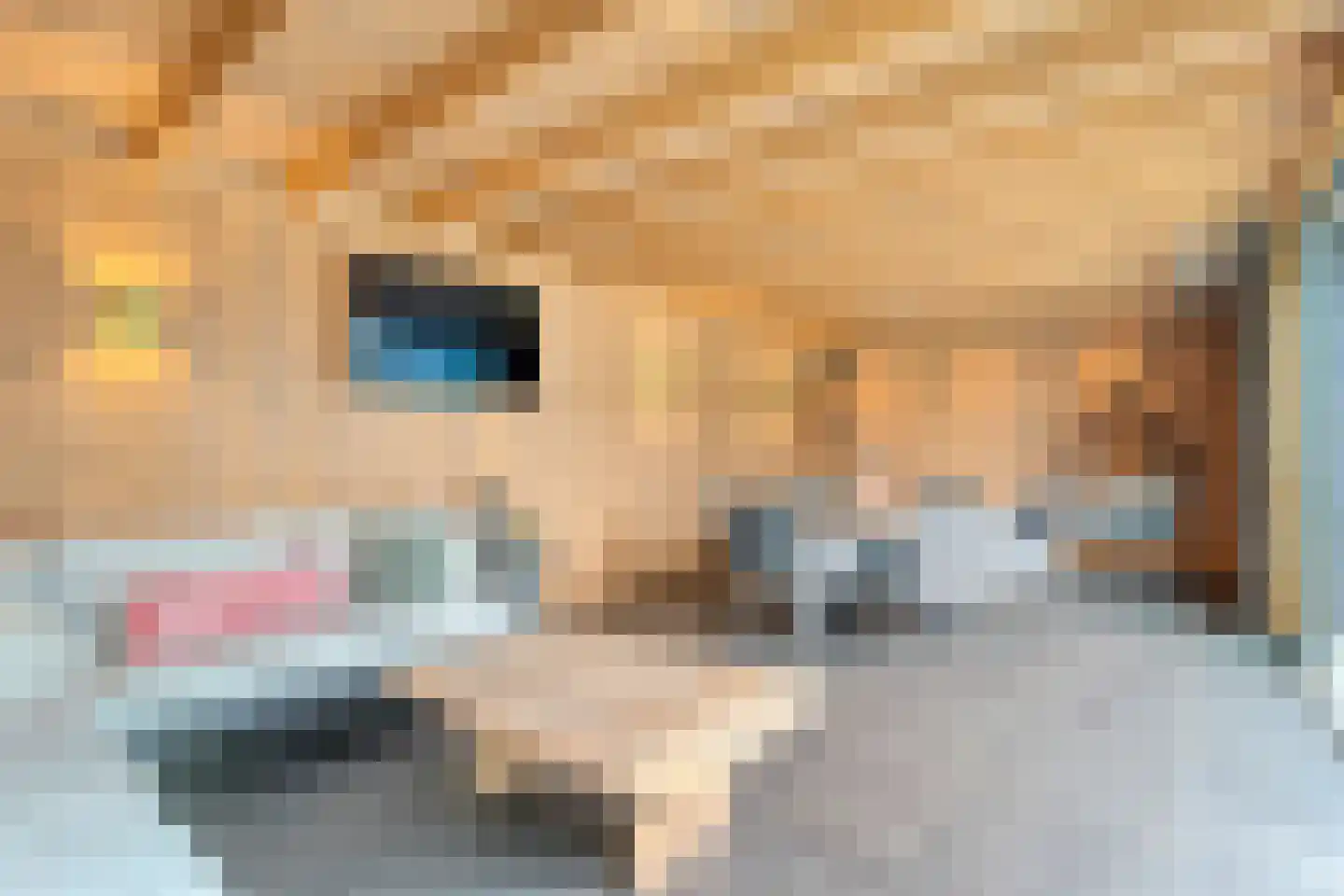 De Maten 10 Gramsbergen thumbnail 47