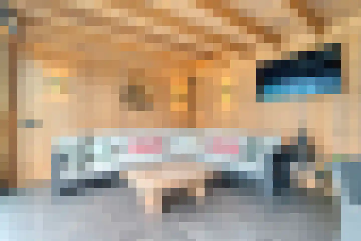 De Maten 10 Gramsbergen thumbnail 48