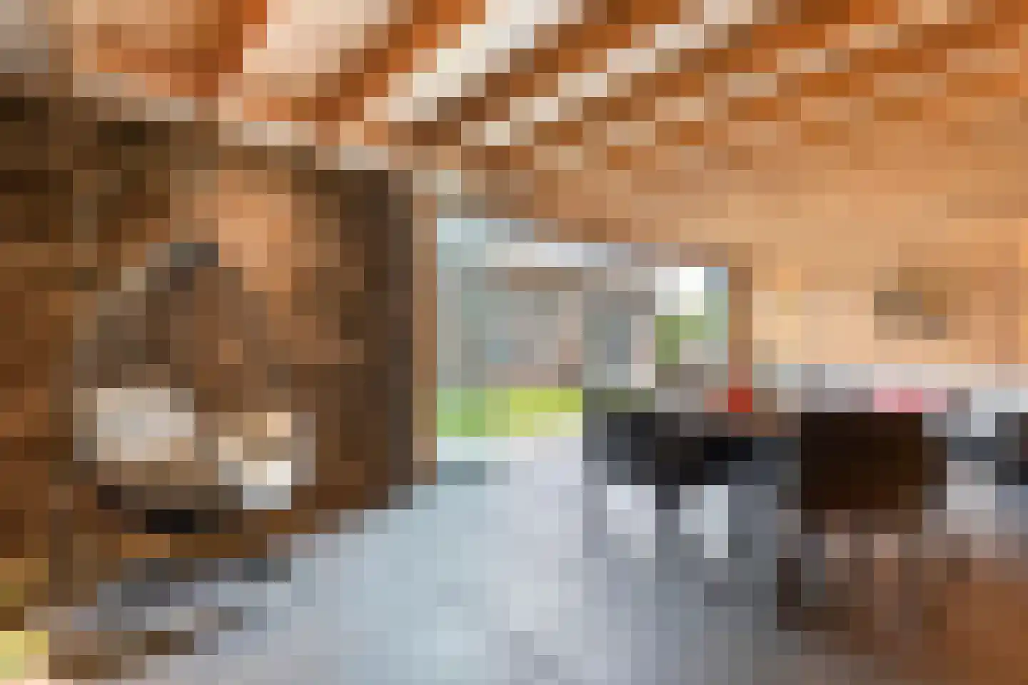 De Maten 10 Gramsbergen thumbnail 49