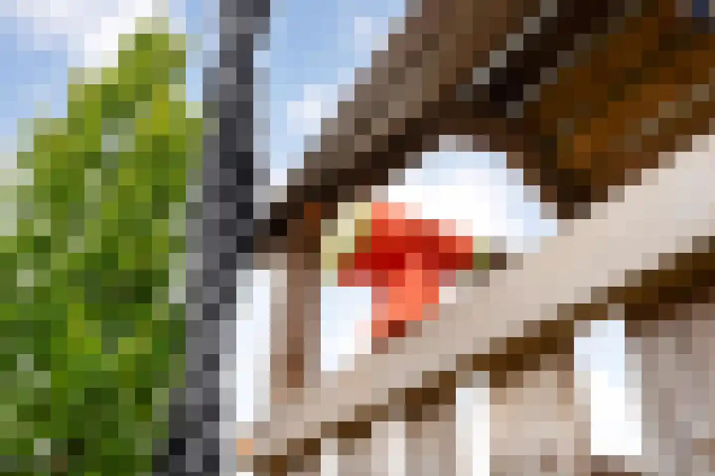 De Maten 10 Gramsbergen thumbnail 53