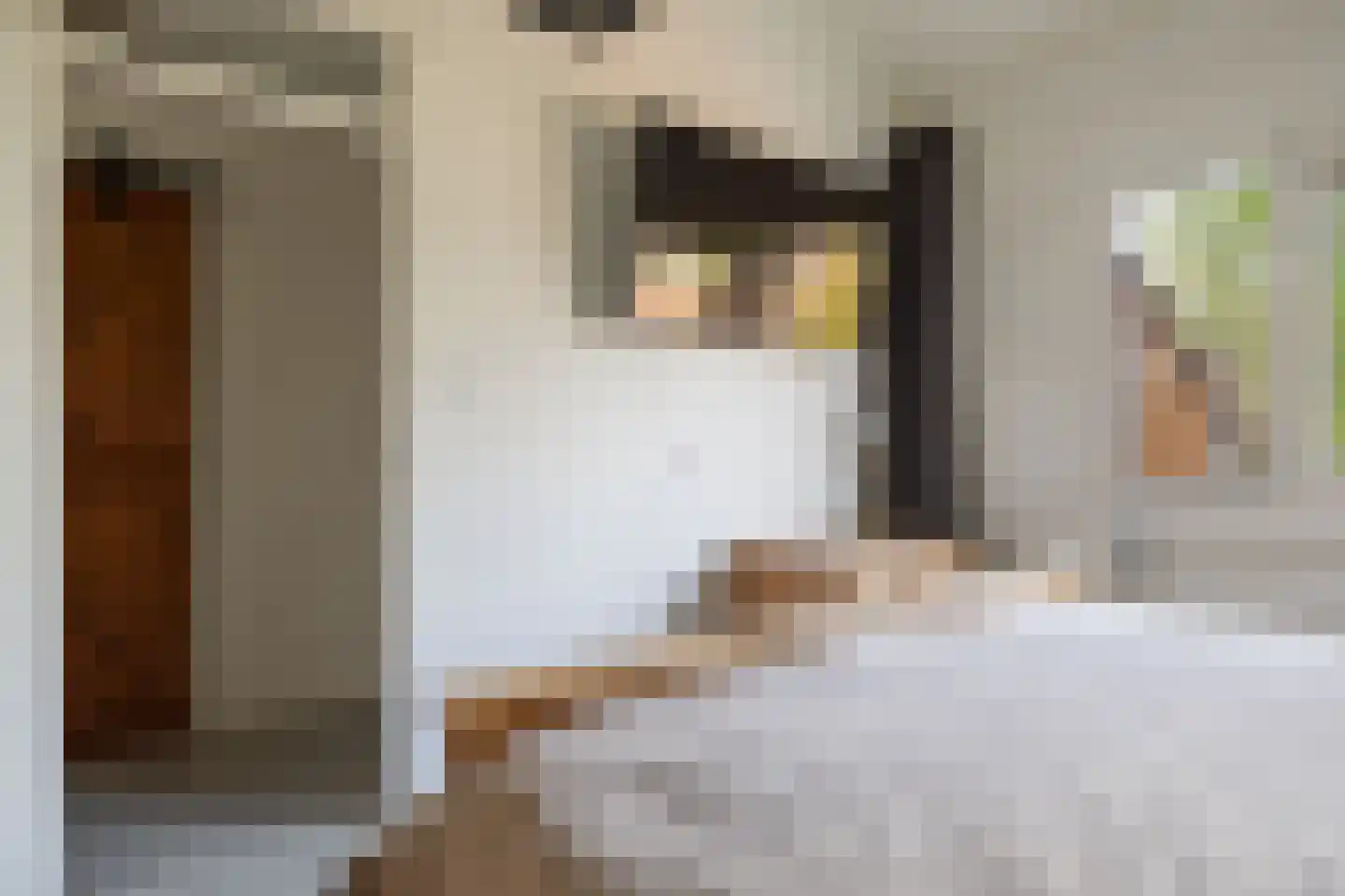 De Maten 14 Schoonebeek thumbnail 36