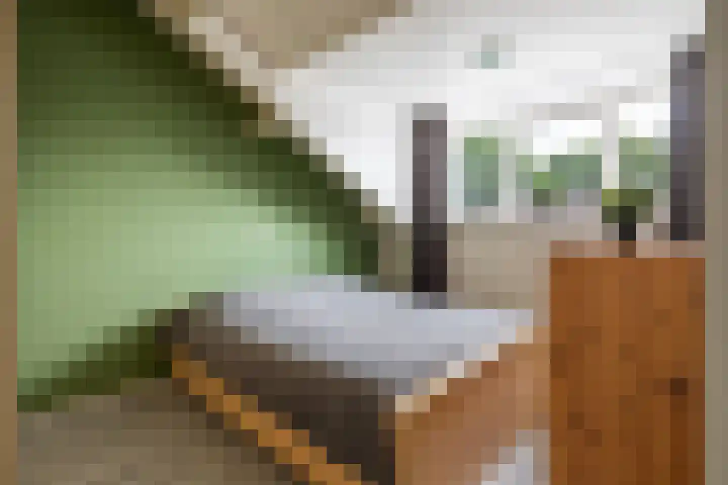 De Maten 14 Schoonebeek thumbnail 42