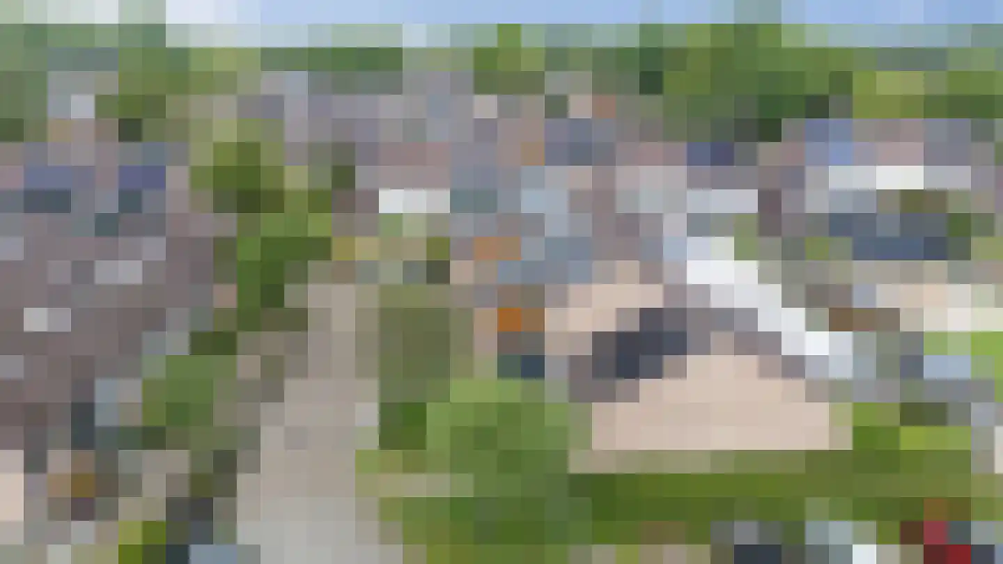 De Maten 14 Schoonebeek thumbnail 44
