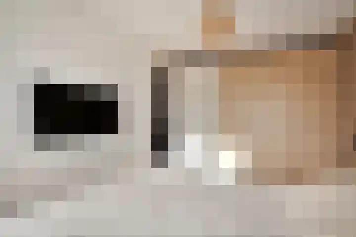 De Maten 15 Gramsbergen thumbnail 16