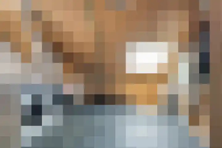 De Maten 15 Gramsbergen thumbnail 20