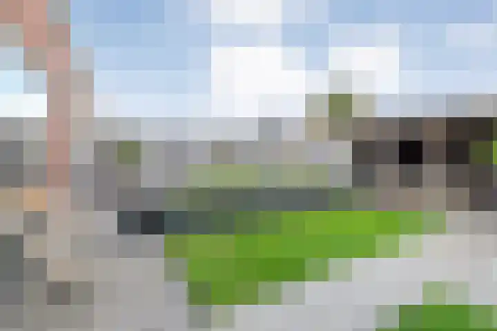 De Maten 15 Gramsbergen thumbnail 23
