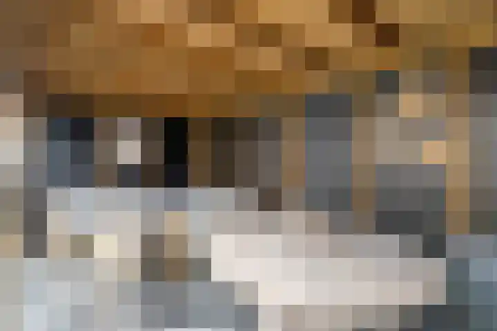 De Maten 15 Gramsbergen thumbnail 24