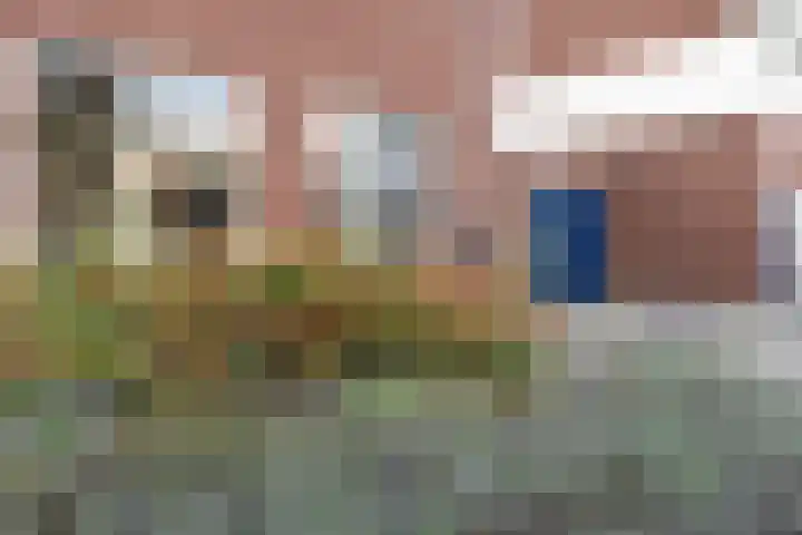De Maten 15 Gramsbergen thumbnail 31