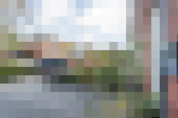 De Maten 15 Gramsbergen thumbnail 32
