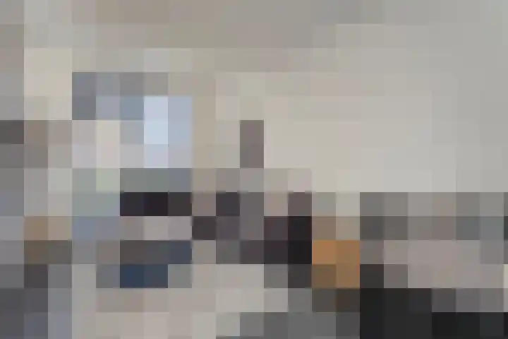 De Maten 15 Gramsbergen thumbnail 5